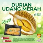 Durian UdangMerah 300gram ( FRESH )