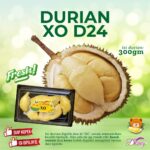 Durian XO/D24 300gram ( FRESH )