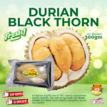 Durian BLACK THORN AAA 300gram ( FRESH )