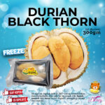 Durian BLACK THORN 300gram ( FREEZER )