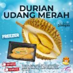 Durian UdangMerah 300gram ( FREEZER )