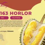 Durian Horlor D163 300gm (Freezer)