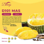 Durian IOI D101 300g ( FRESH )